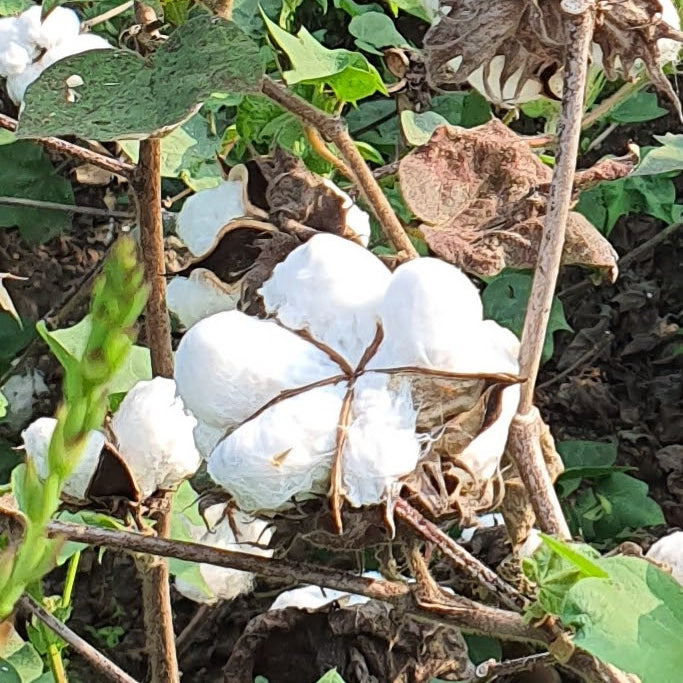 How To: Spot Greenwashing