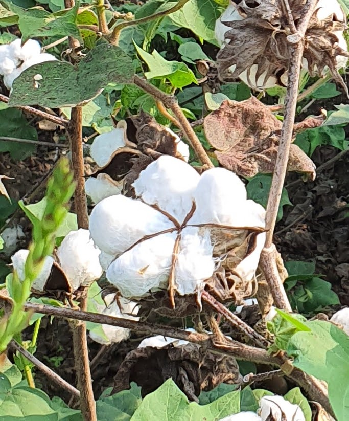 How To: Spot Greenwashing